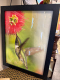 Hummingbird