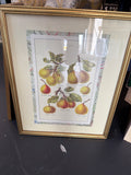 Pears
