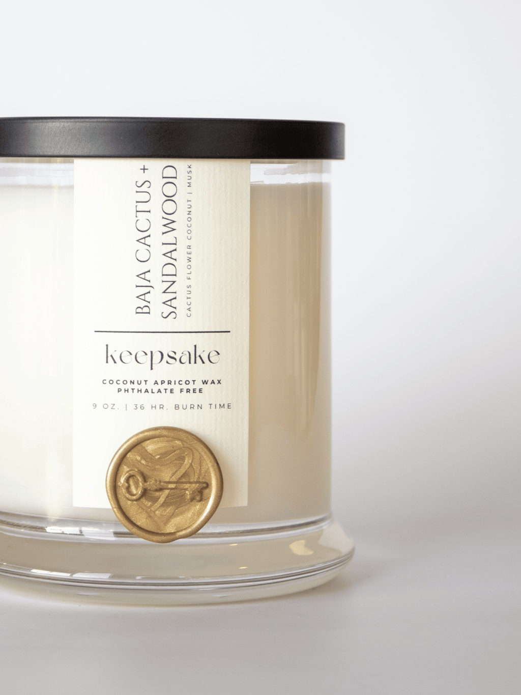 9 oz. Luxury Candle - Baja Cactus + Sandalwood