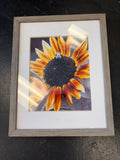 Sunflower - original photography