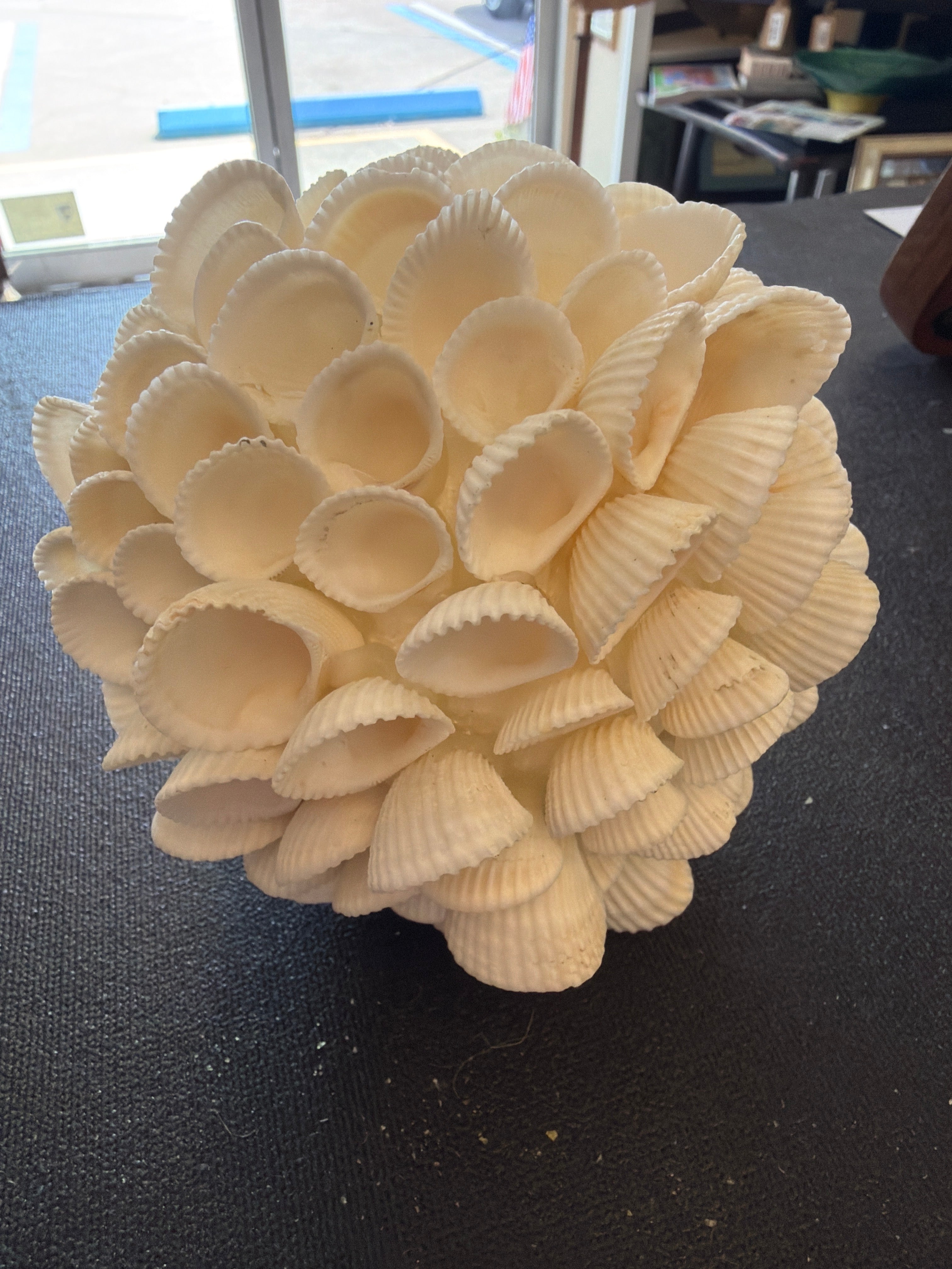 Seashell ball