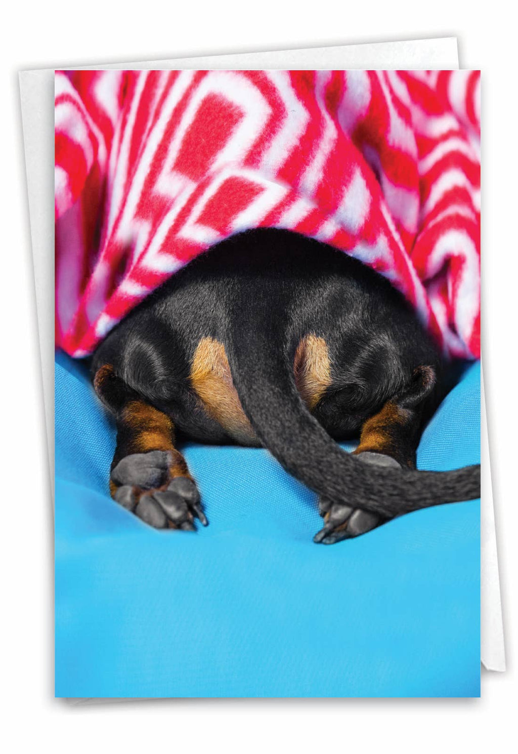 Thinking of You Card - Tattle Tails - Blanket