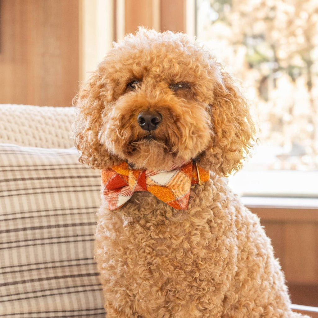 Pumpkin Spice Plaid Flannel Fall Dog Bow Tie: Large