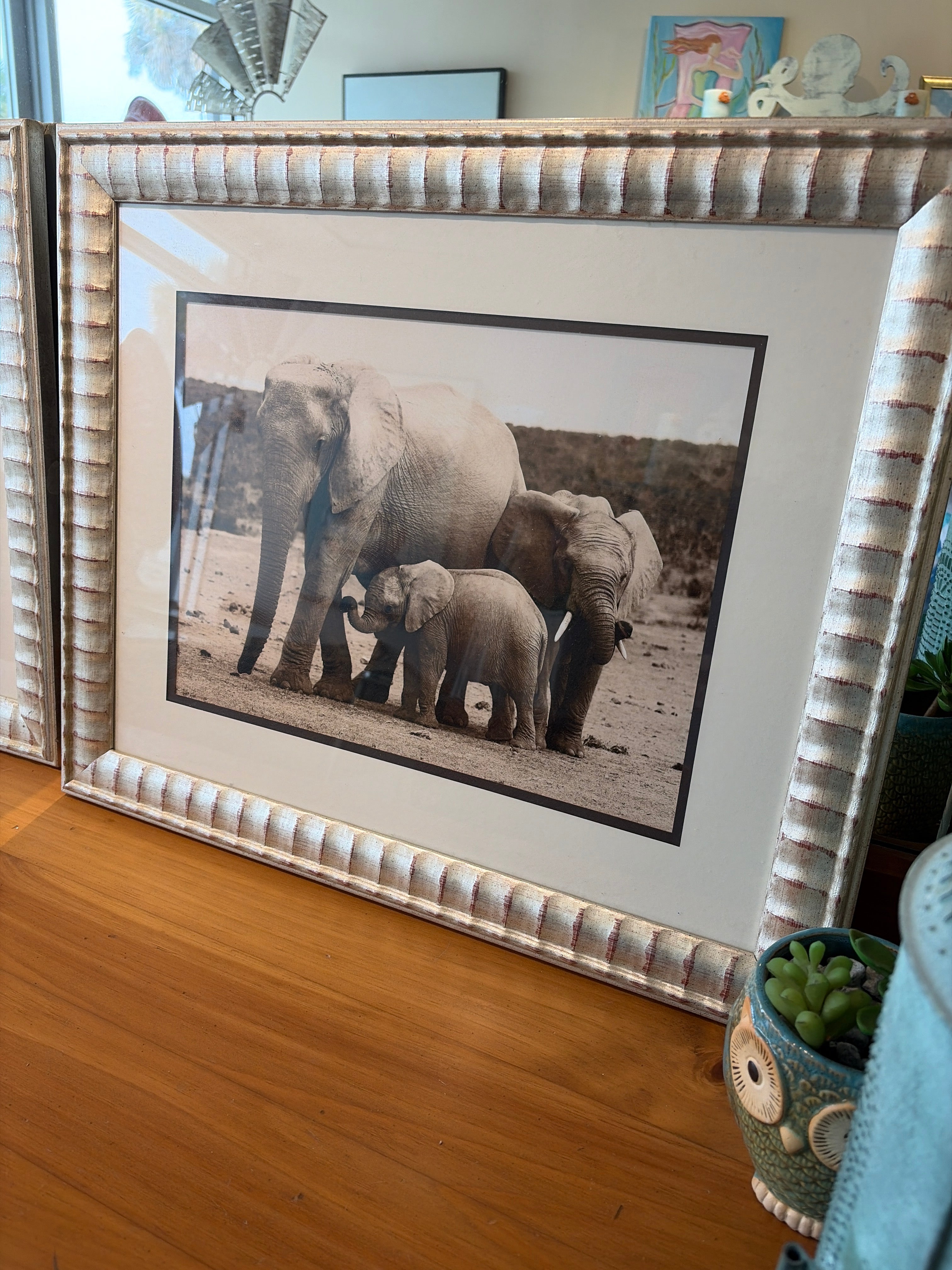 African Elephants