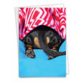Thinking of You Card - Tattle Tails - Blanket