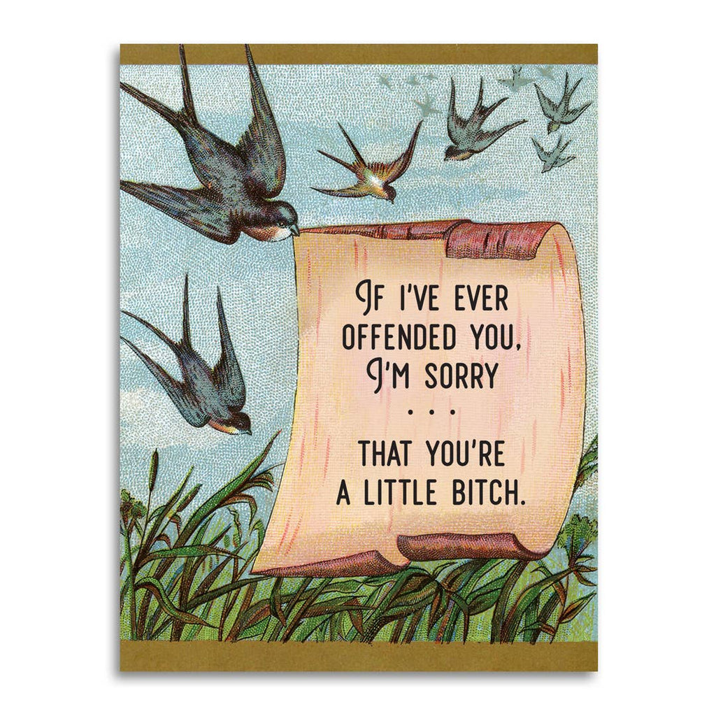 I'm Sorry If You're Offended (You're a Little Bitch)