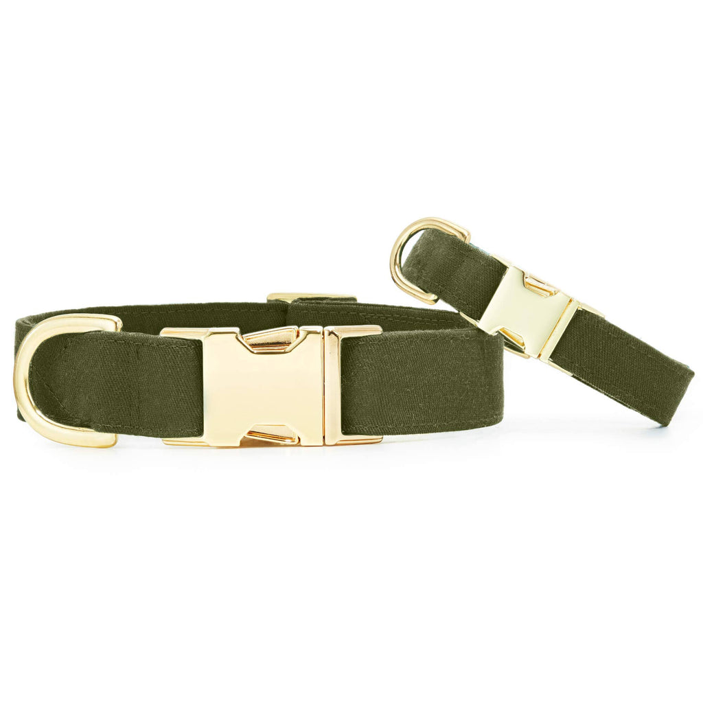 Olive Dog Collar: XS/Gold