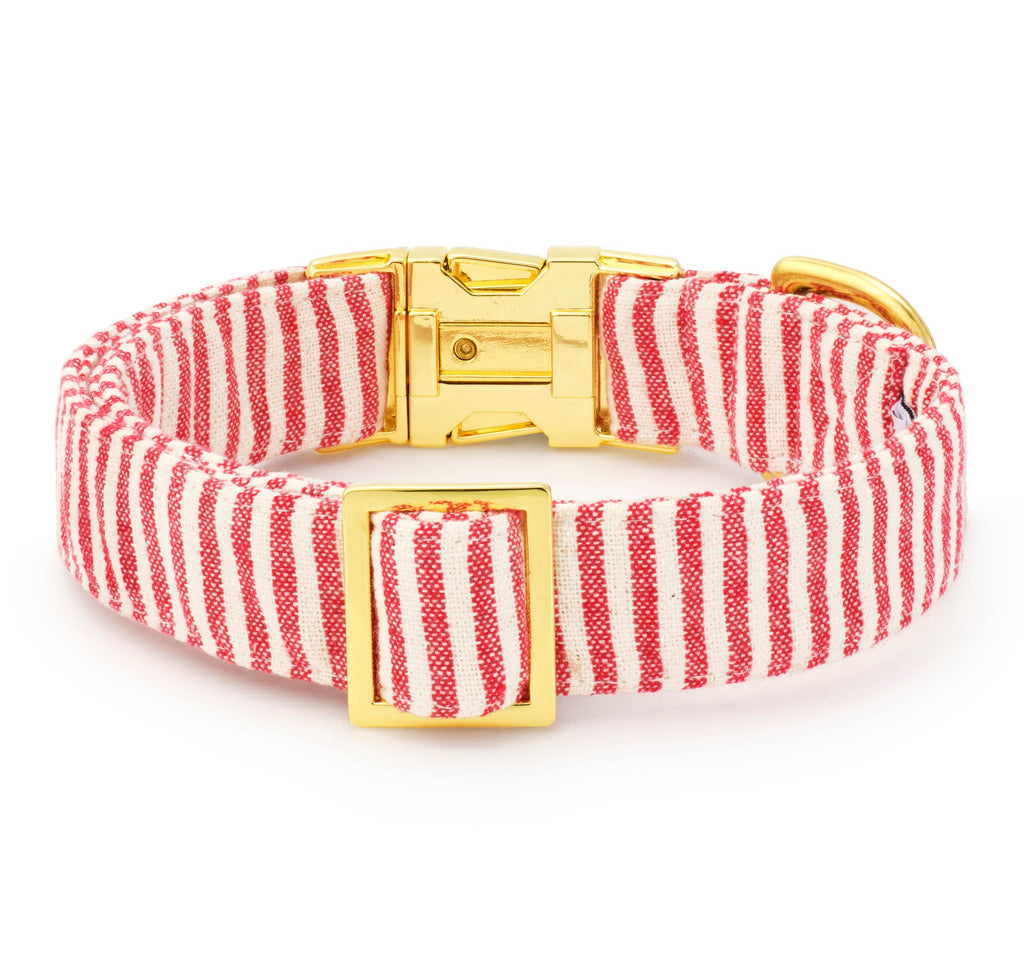 Red Stripe Dog Collar: S / Gold