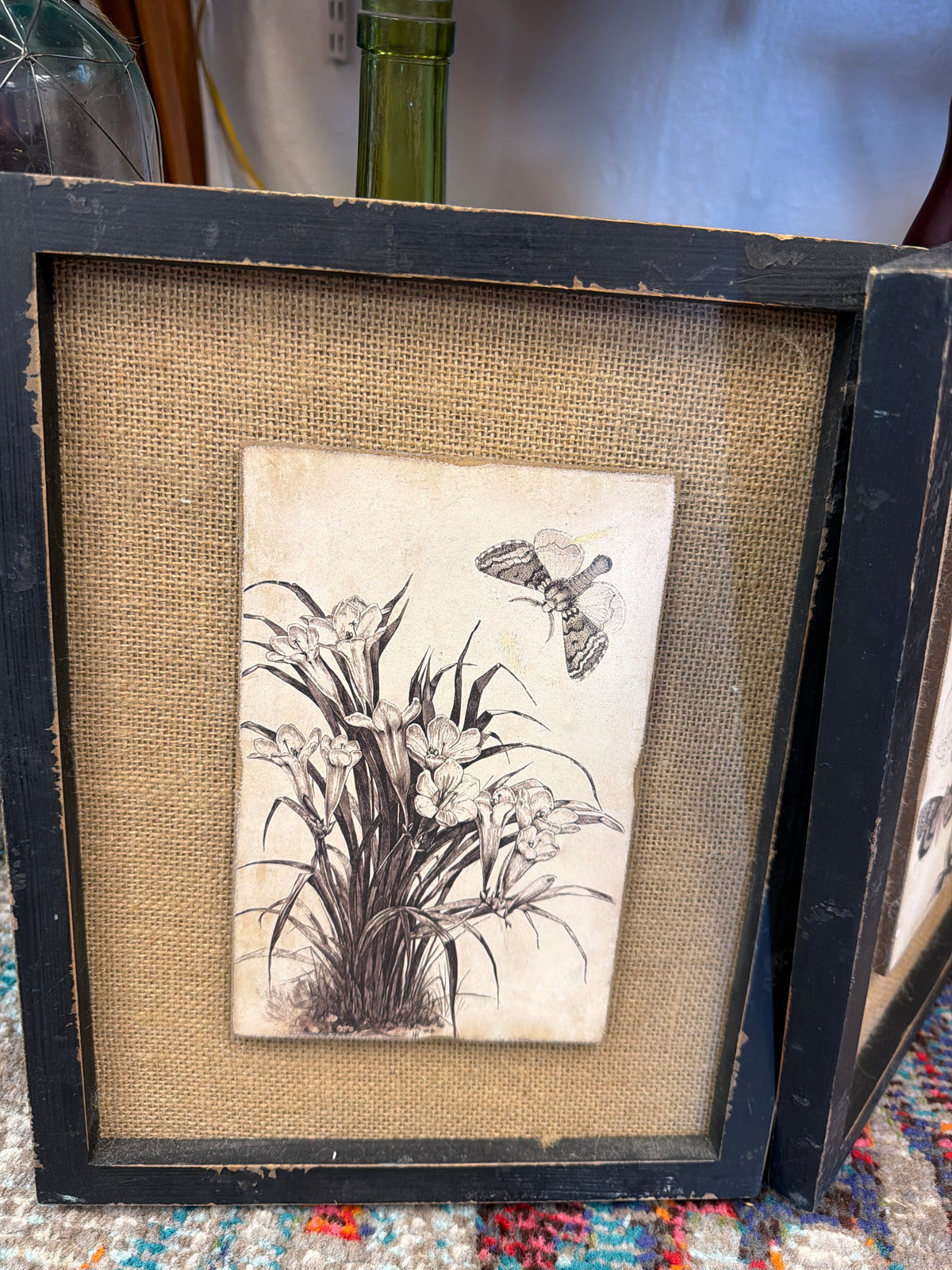 Butterfly Print