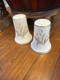 Japanese Salt and Pepper Shakers