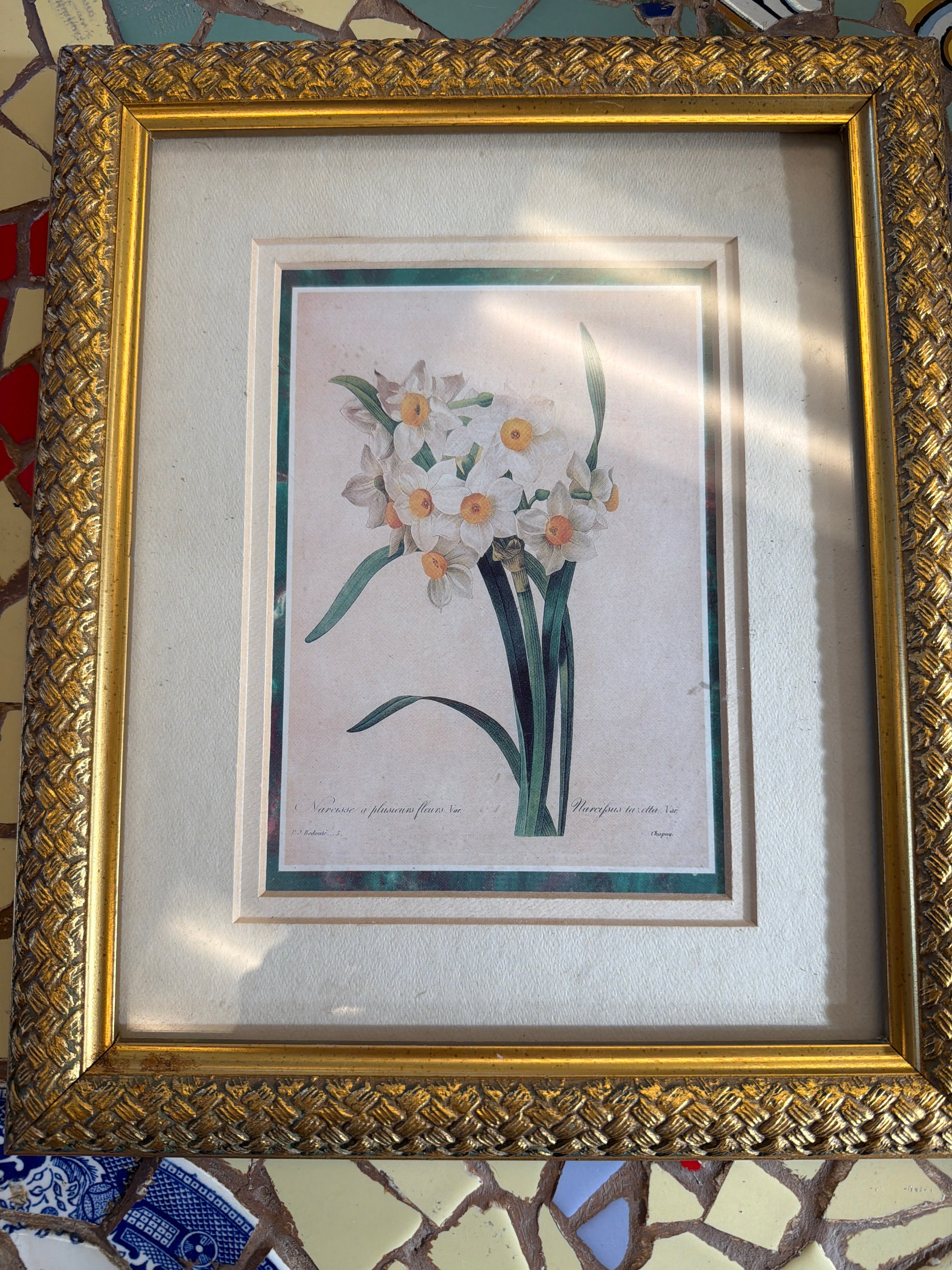 Narcissus illustration by Pierre-Joseph Redoute.