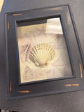 Seashell shadow box