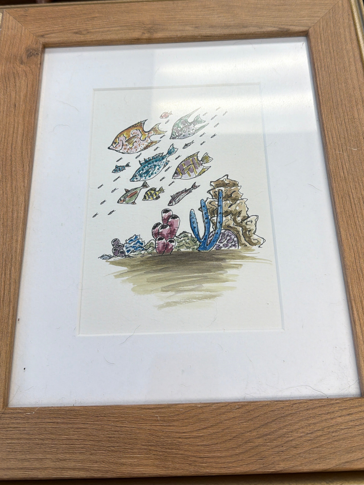 Marine Life Watercolor