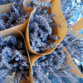 Dried Lavender Bundle | Aromatic Home Decor