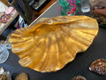 Clam Shell painted gold