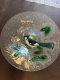Blue Jay Bowl