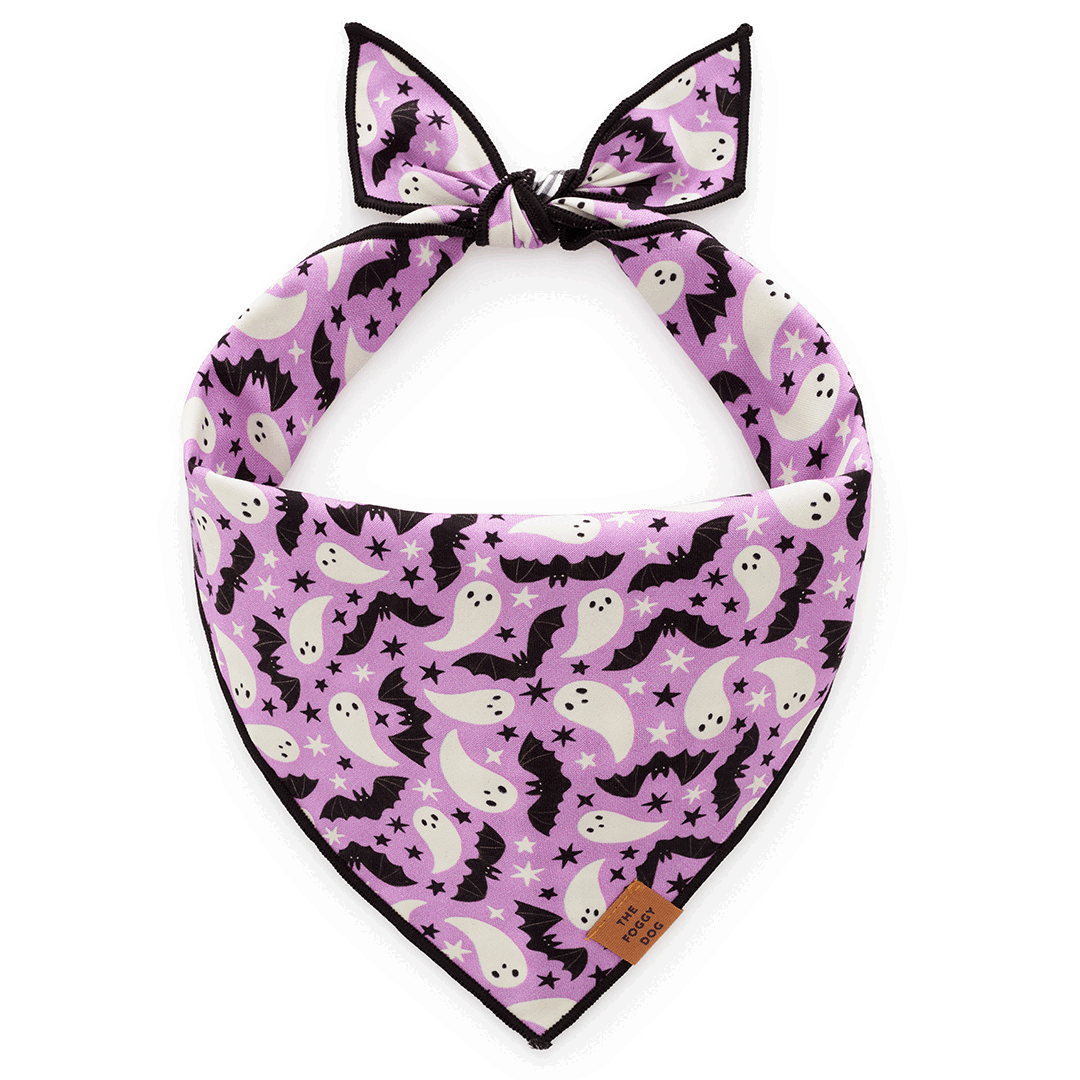 Spooky Season Reversible Dog Bandana: L - up to 26”