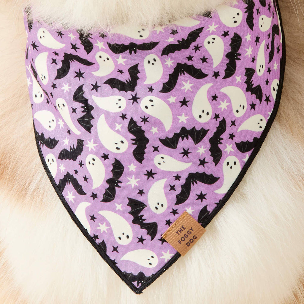 Spooky Season Reversible Dog Bandana: S - up to 13”