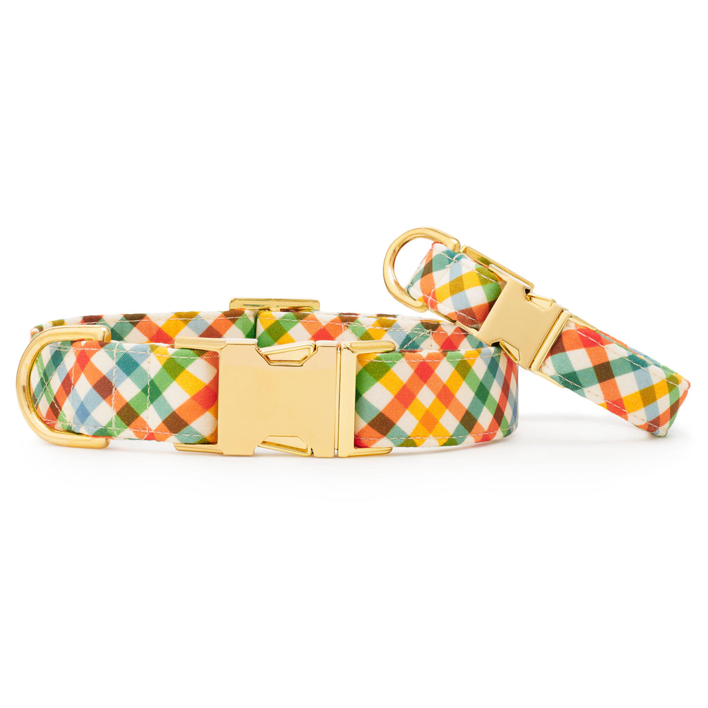 Harvest Gingham Dog Collar: M - 14-19”