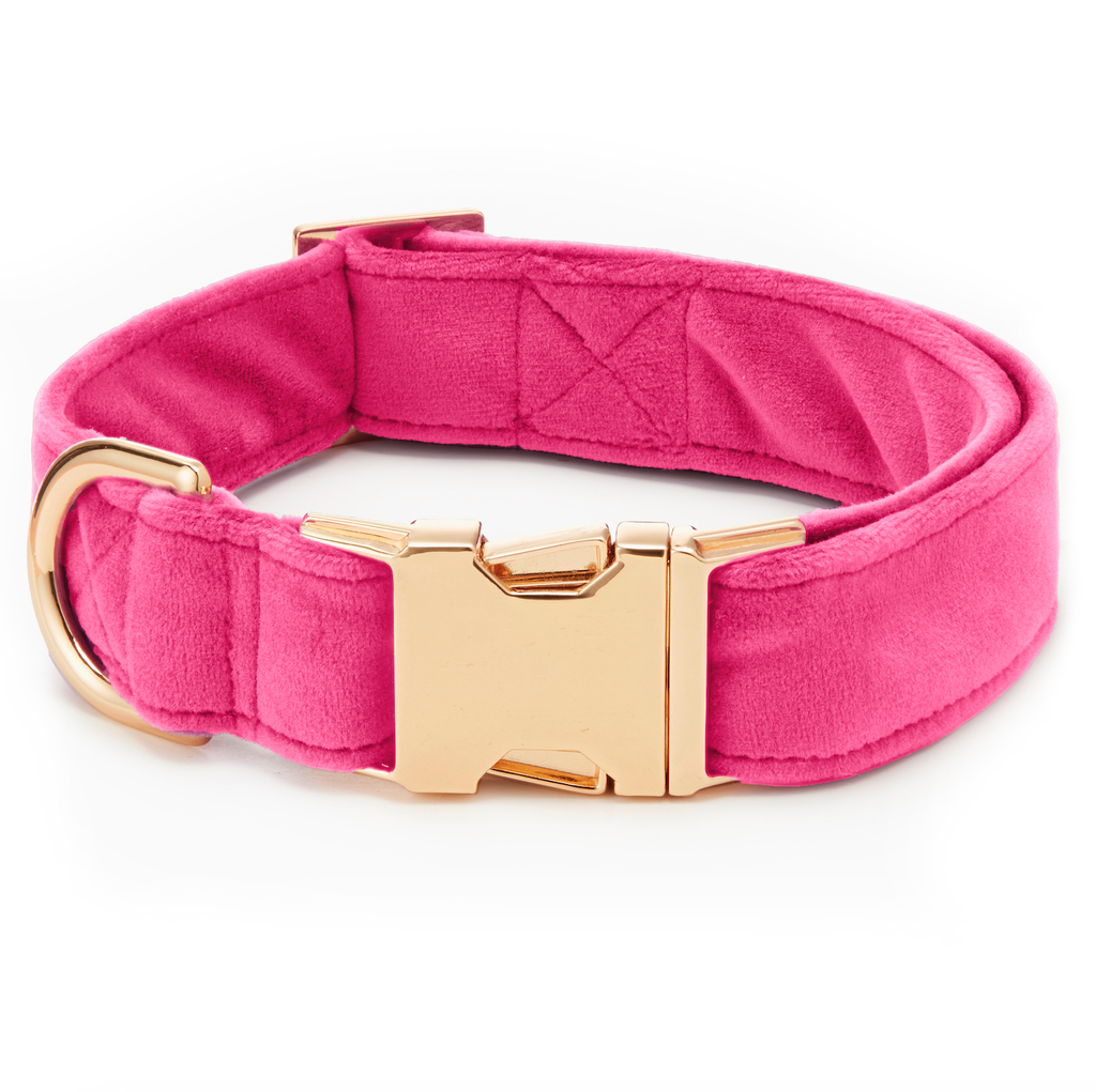 Hot Pink Velvet Dog Collar: S / Gold