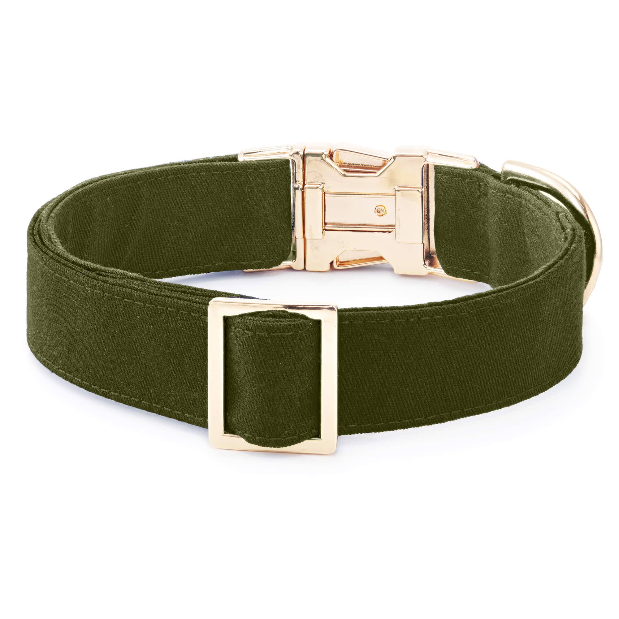 Olive Dog Collar: XS/Gold