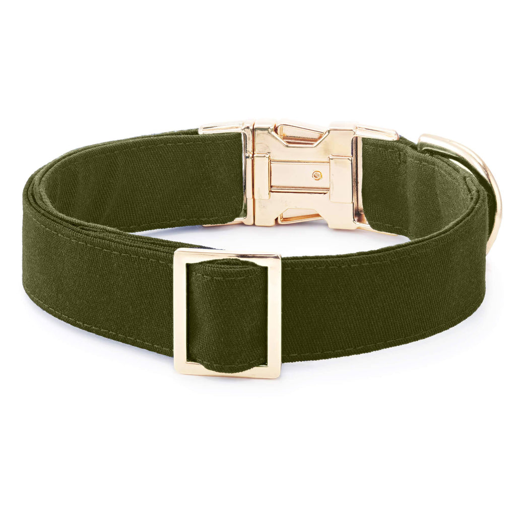 Olive Dog Collar: L/Gold