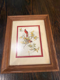 Cardinals Print