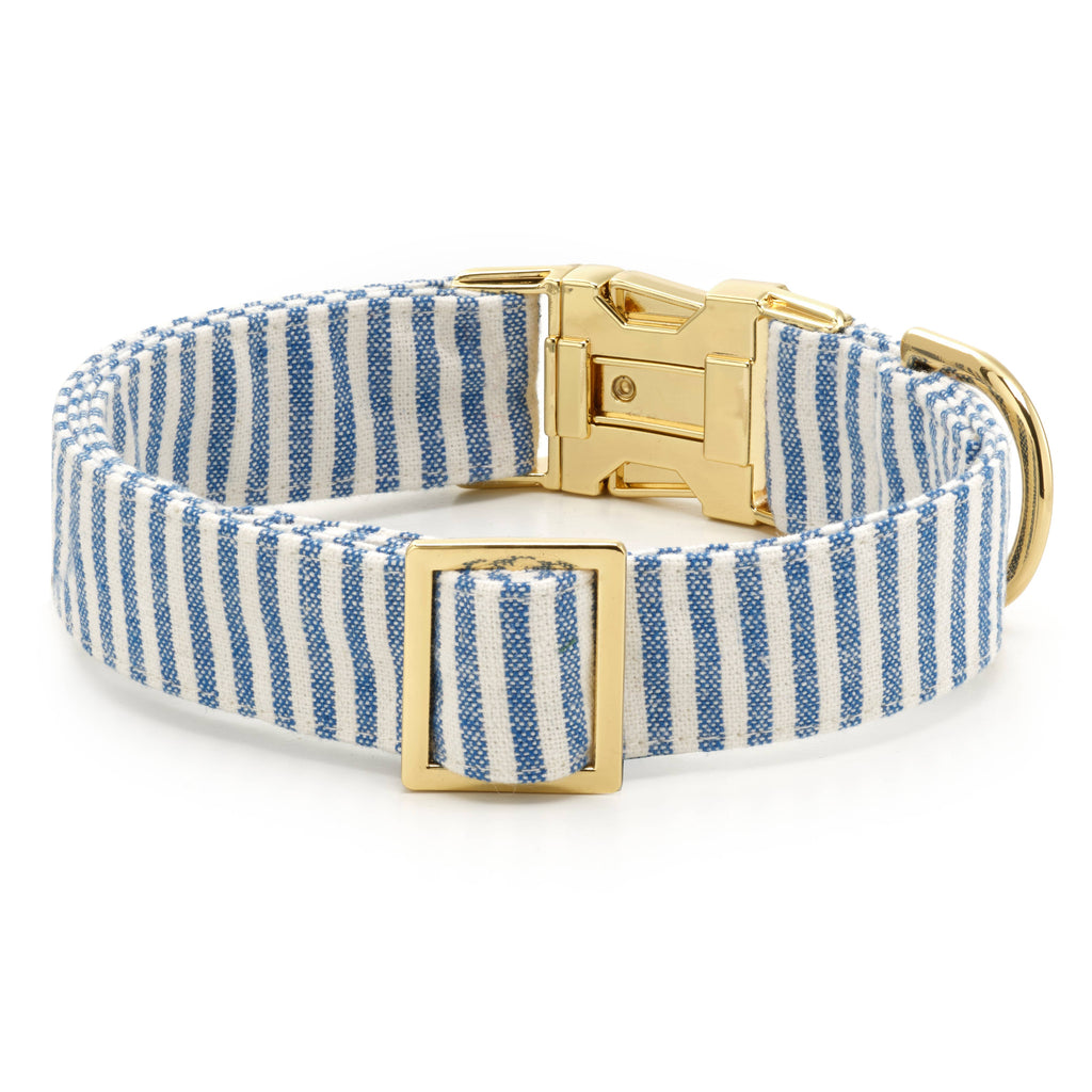 Lake Blue Stripe Summer Dog Collar: L/ Gold