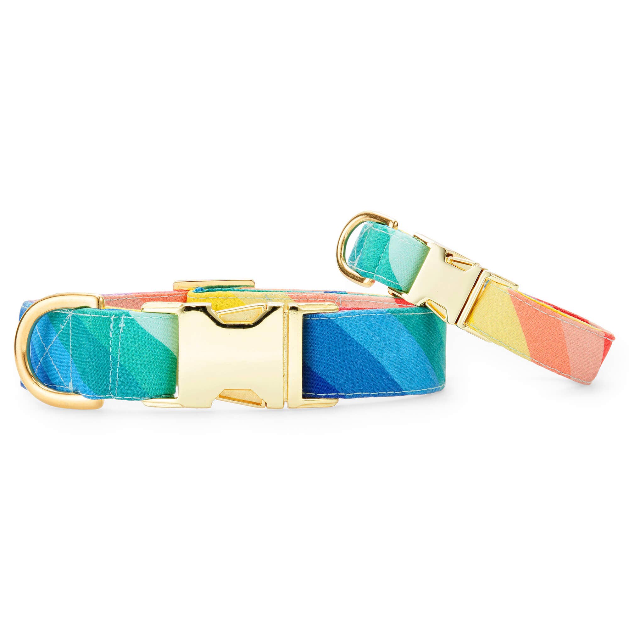 Over the Rainbow Dog Collar: Small