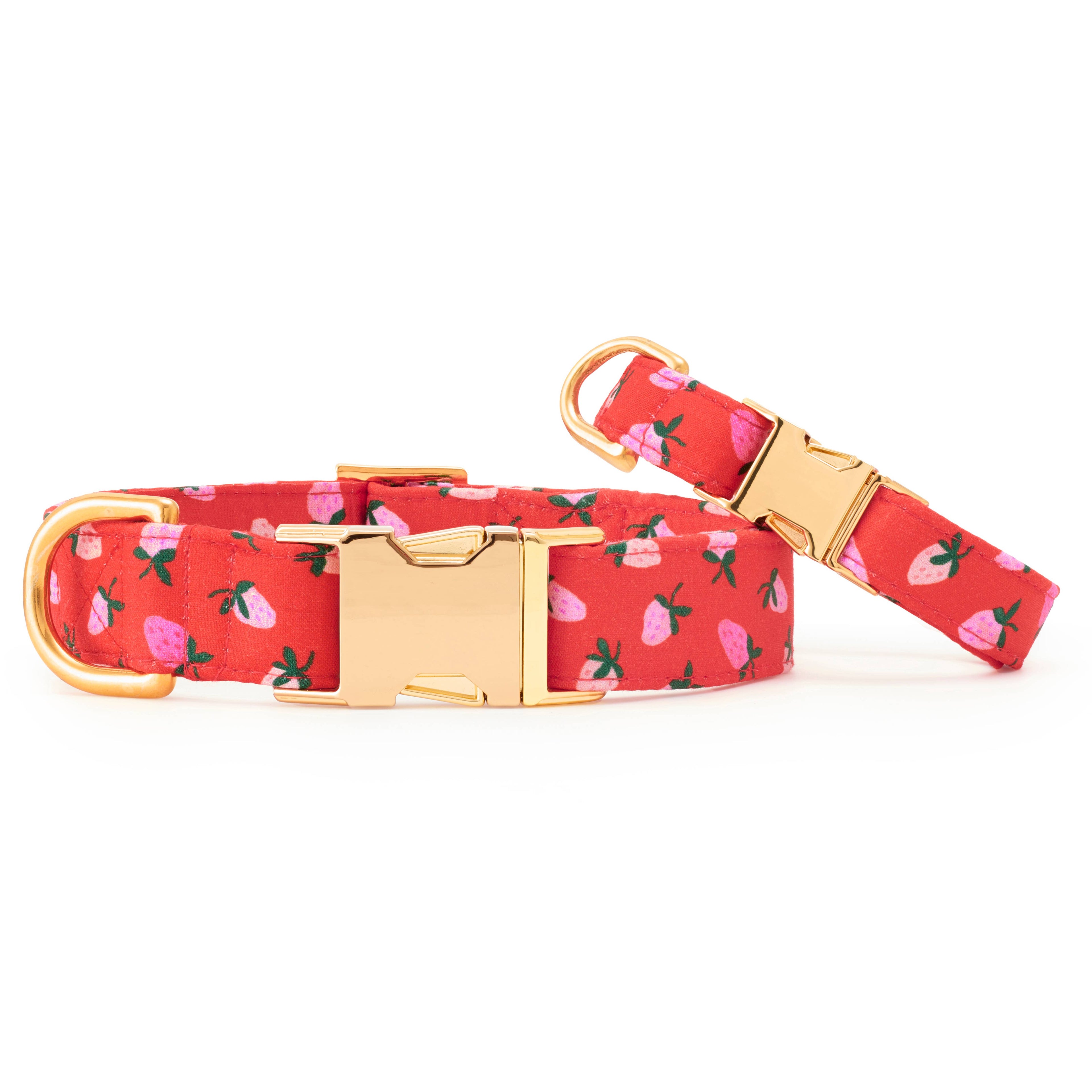Berry Sweet Dog Collar: S