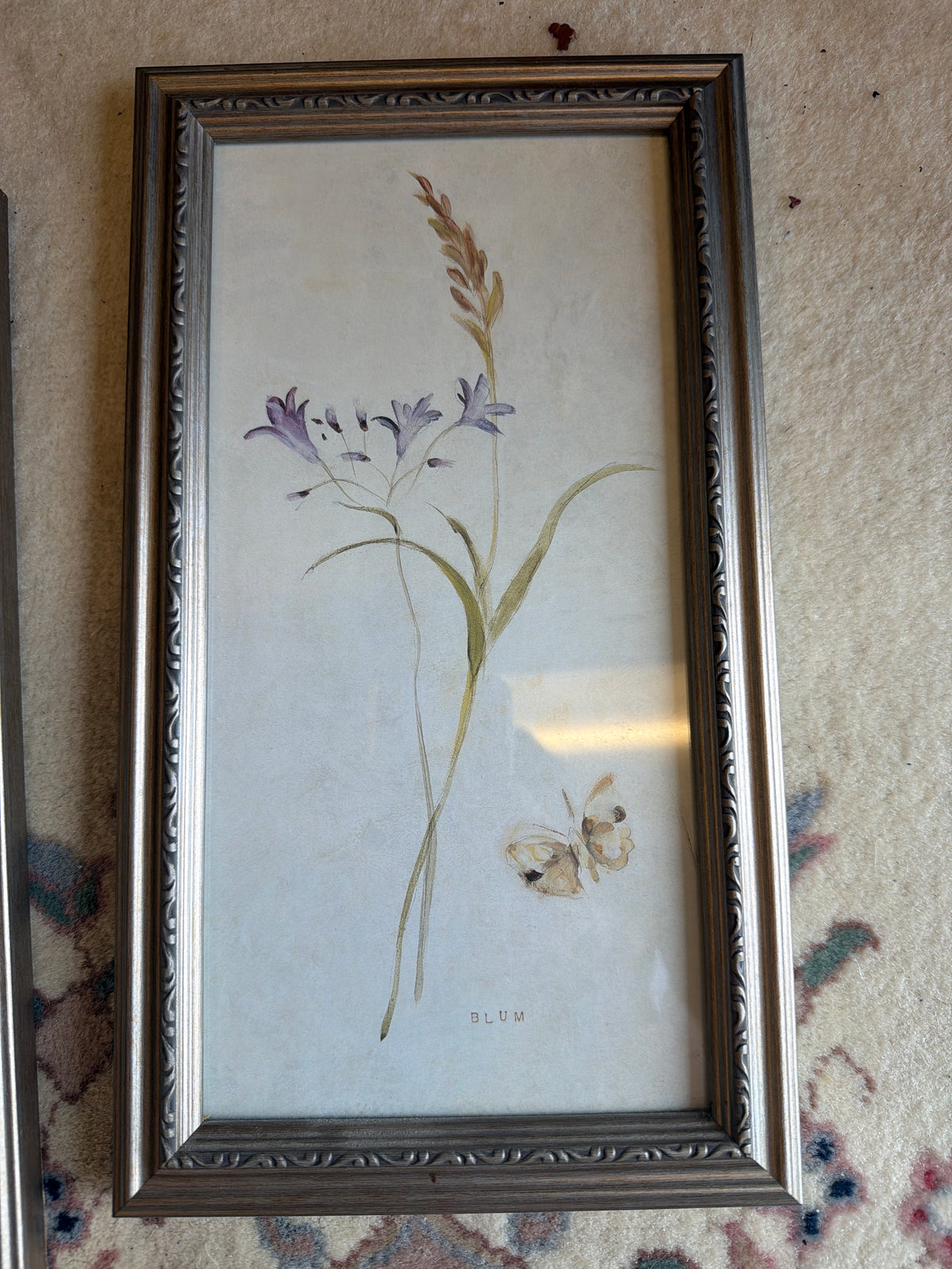 "Wild Wallflowers II" by artist Cheri Blum