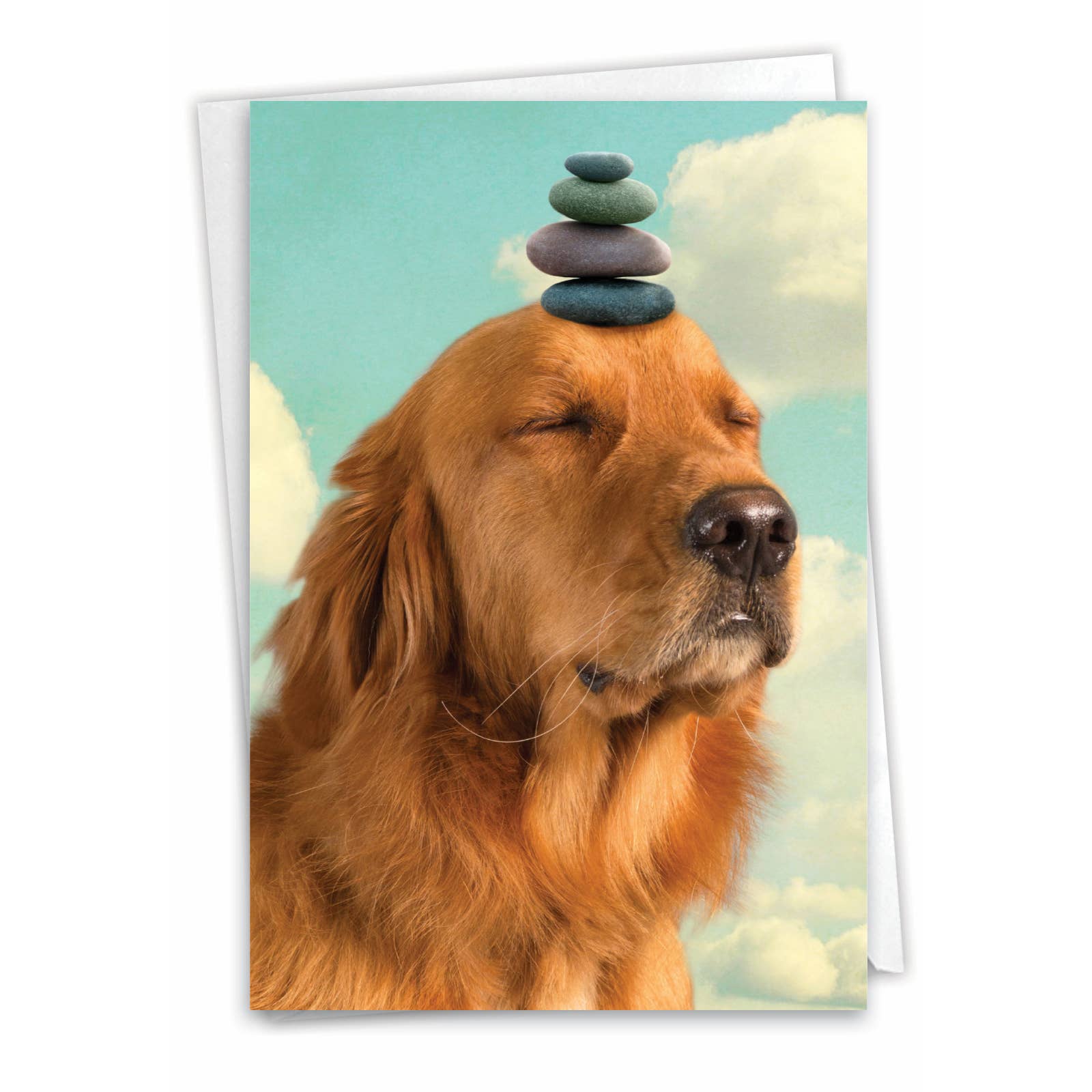 Thinking of You Card - Zen Dog