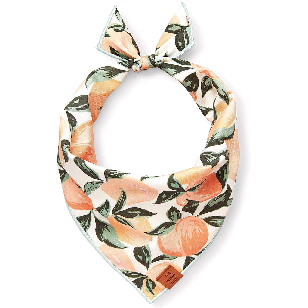 Peaches and Cream Dog Bandana: Large
