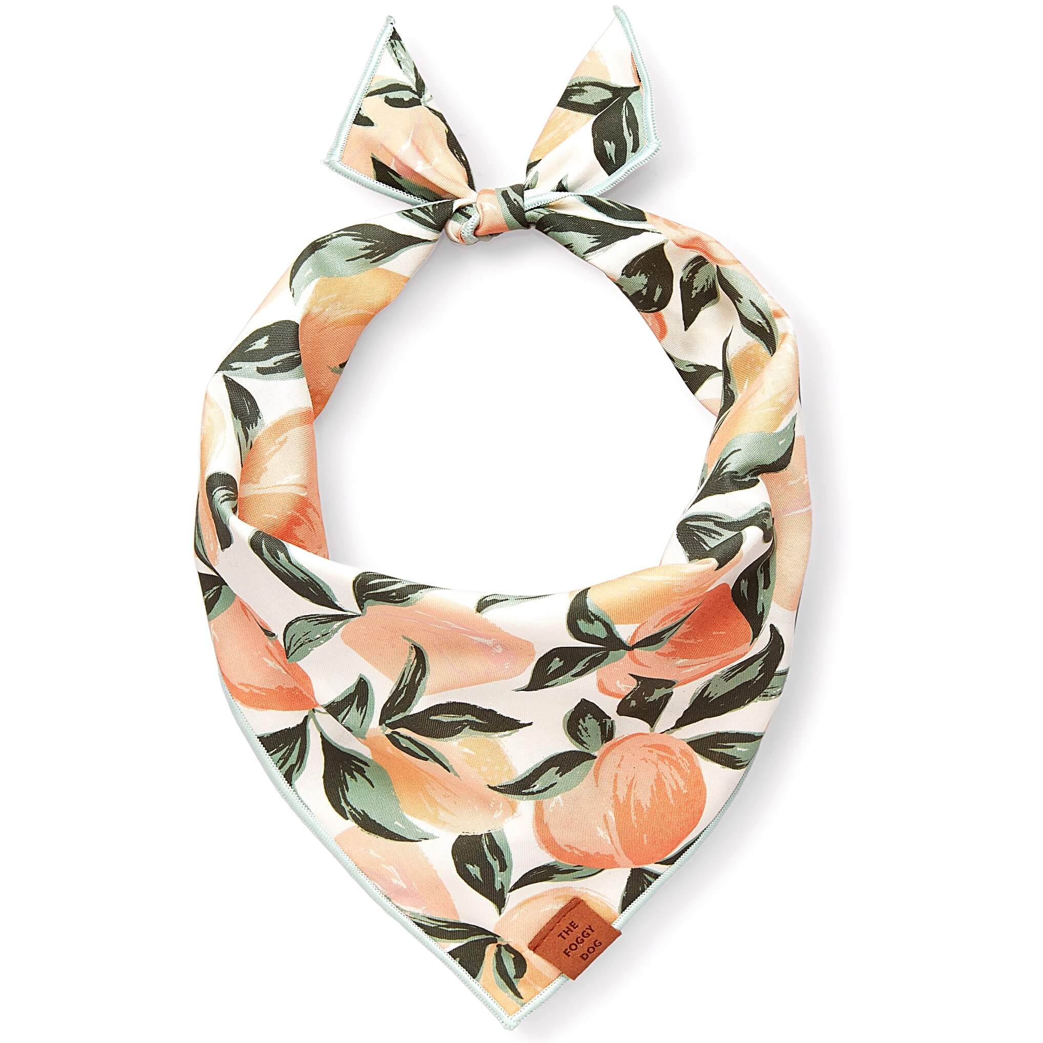 Peaches and Cream Dog Bandana: Large
