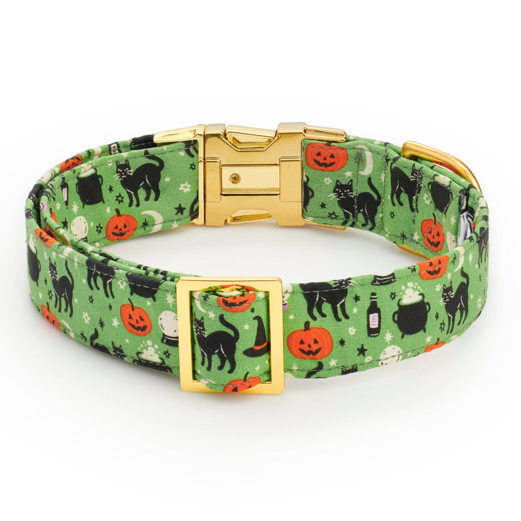 Spellbound Dog Collar: XS - 8-11”
