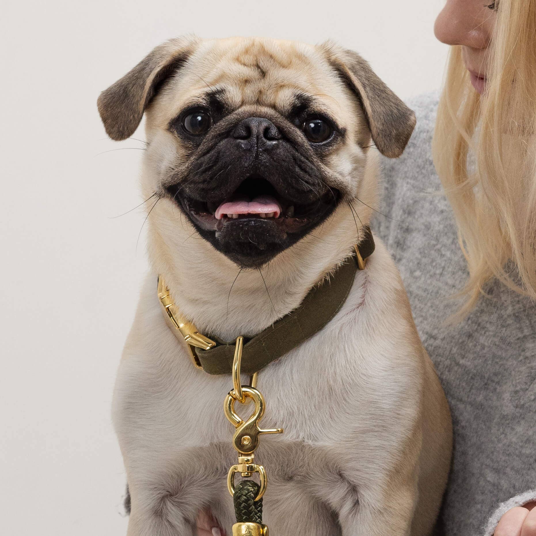 Olive Dog Collar: XS/Gold
