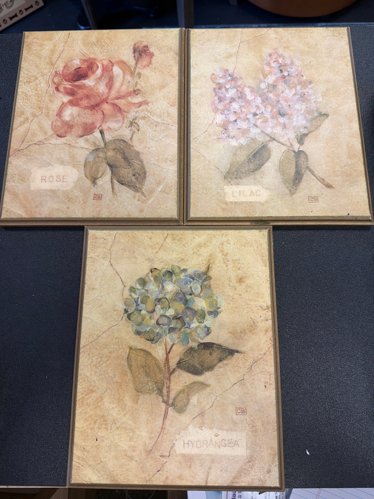 Set of 3 Cheri Blum Florals