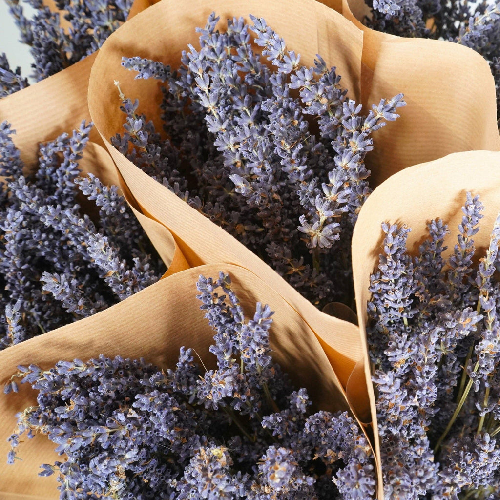 Dried Lavender Bundle | Aromatic Home Decor
