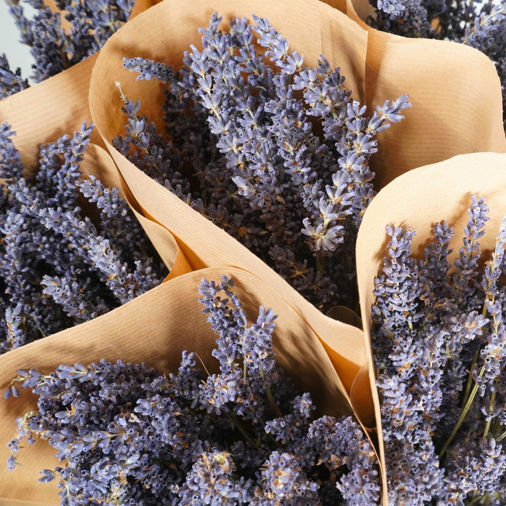 Dried Lavender Bundle | Aromatic Home Decor