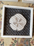 Sanddollar art