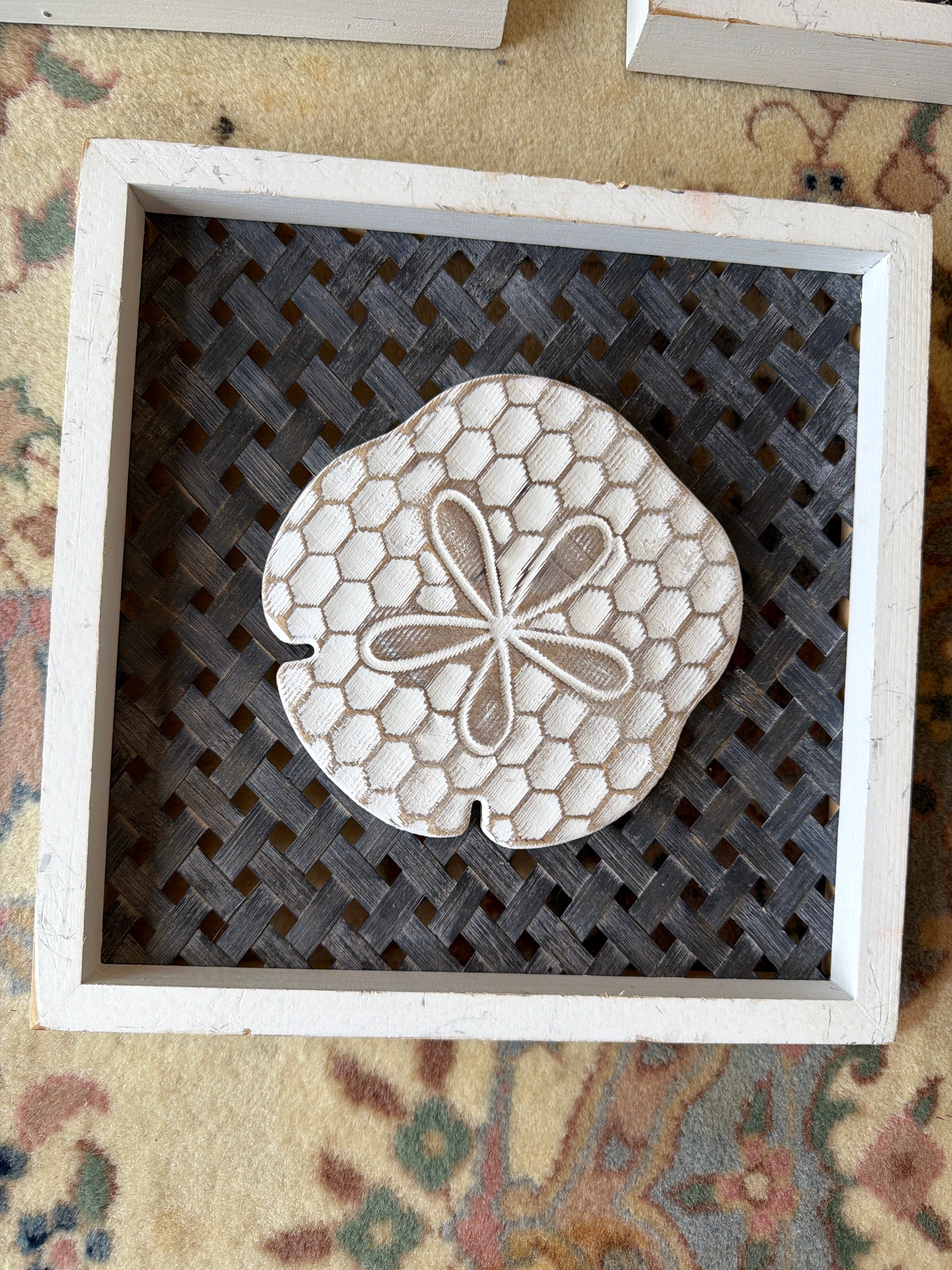 Sanddollar art