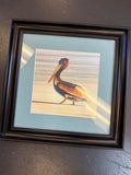 Brown Pelican