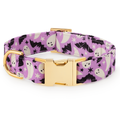 Spooky Season Glow-in-the-Dark Dog Collar: M