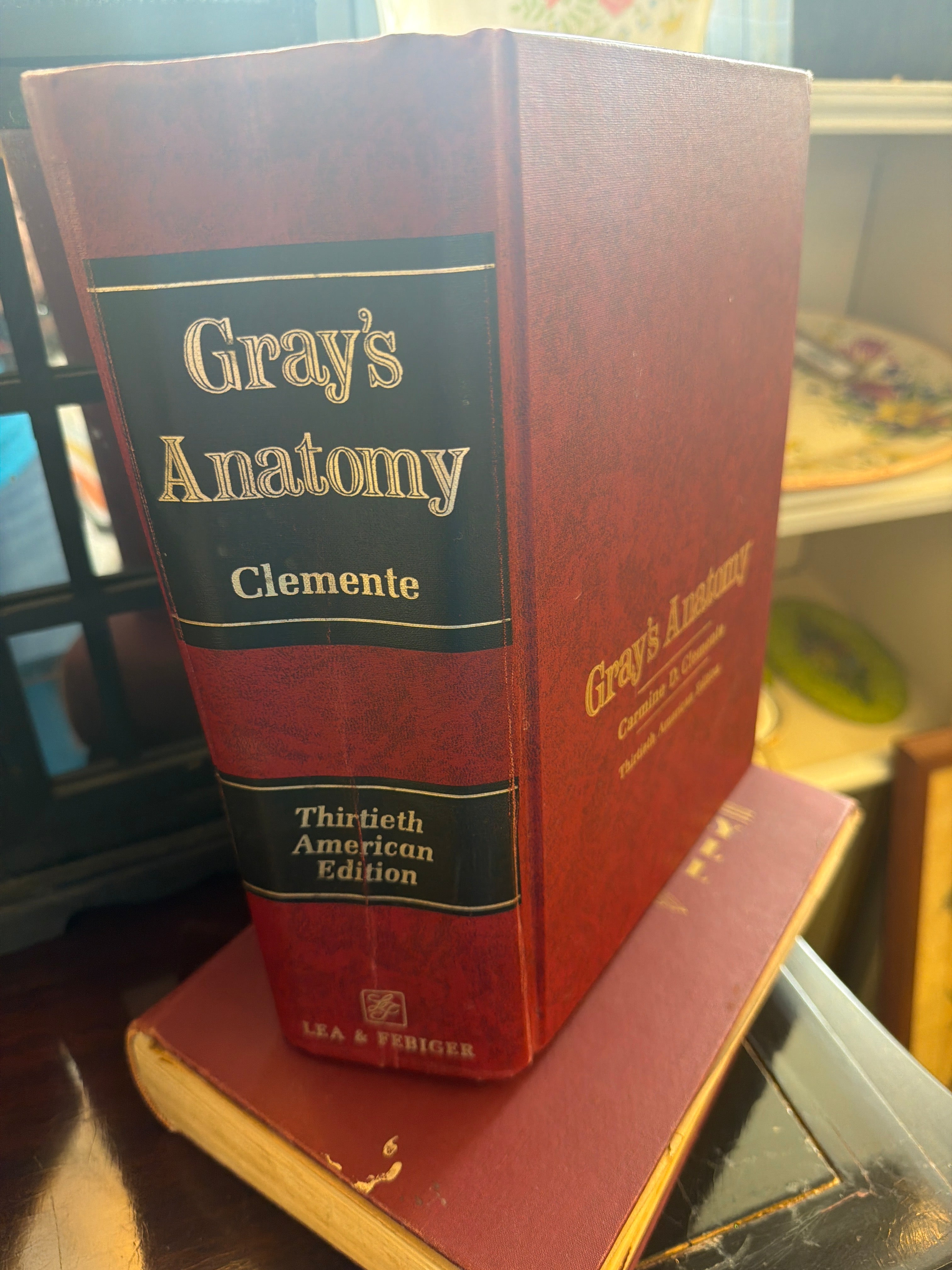 Gray’s Anatomy