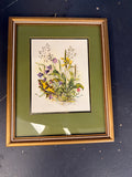 Wild flowers and butterfly- Stehli Frères S.A.