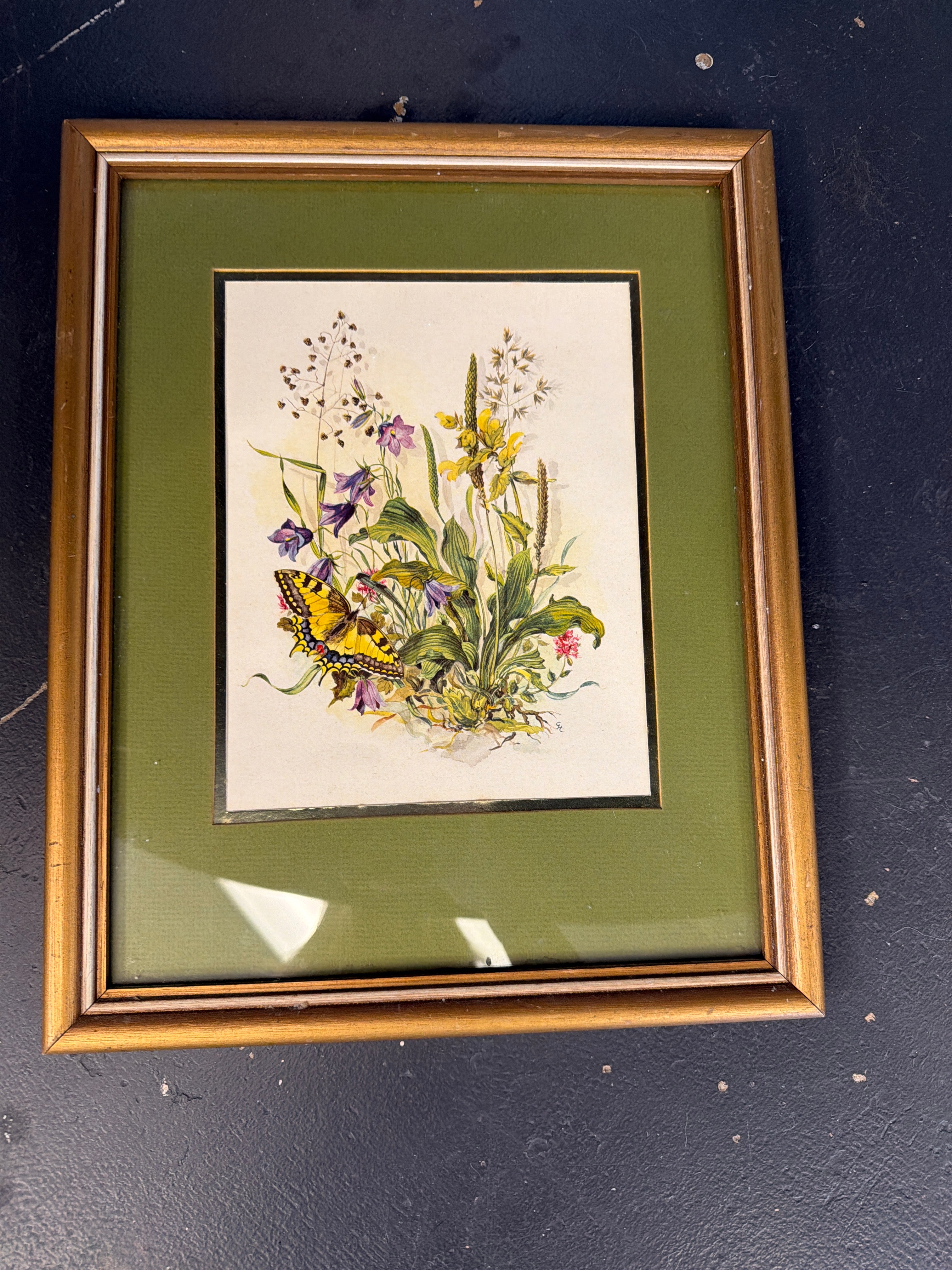 Wild flowers and butterfly- Stehli Frères S.A.