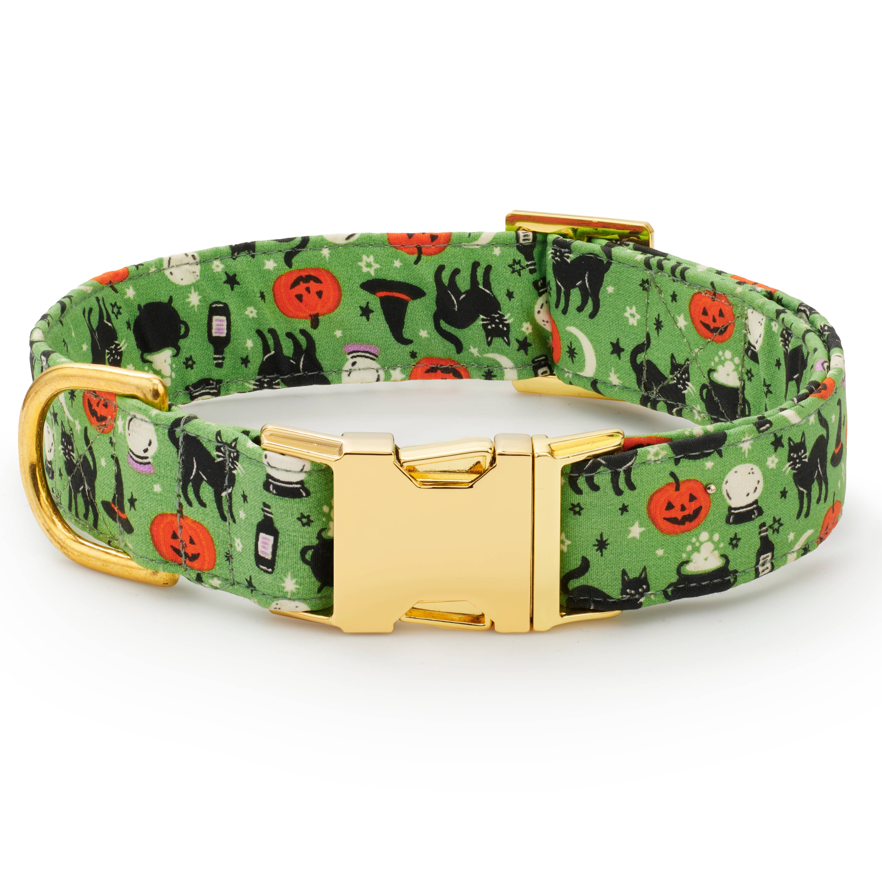 Spellbound Dog Collar: XS - 8-11”