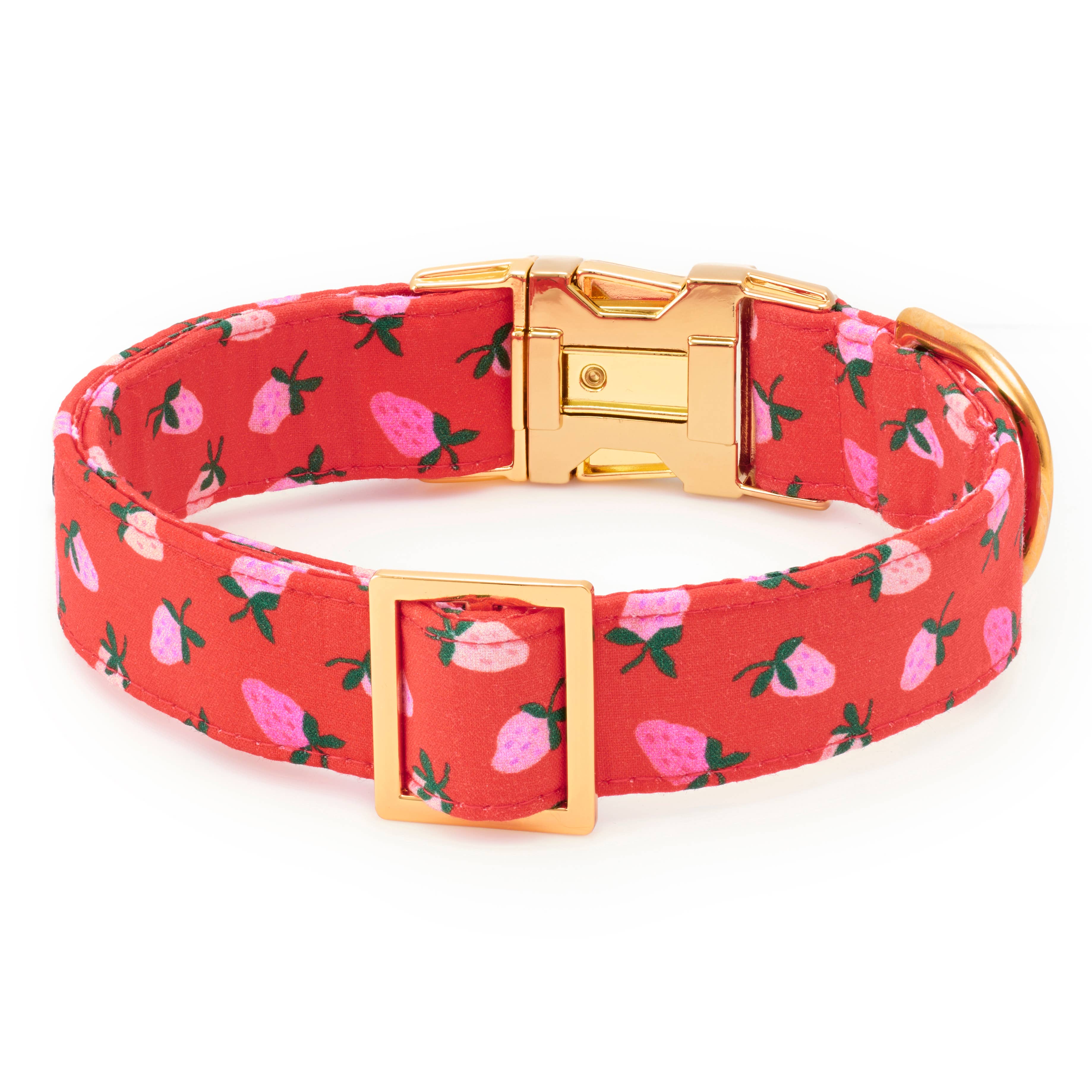 Berry Sweet Dog Collar: XS