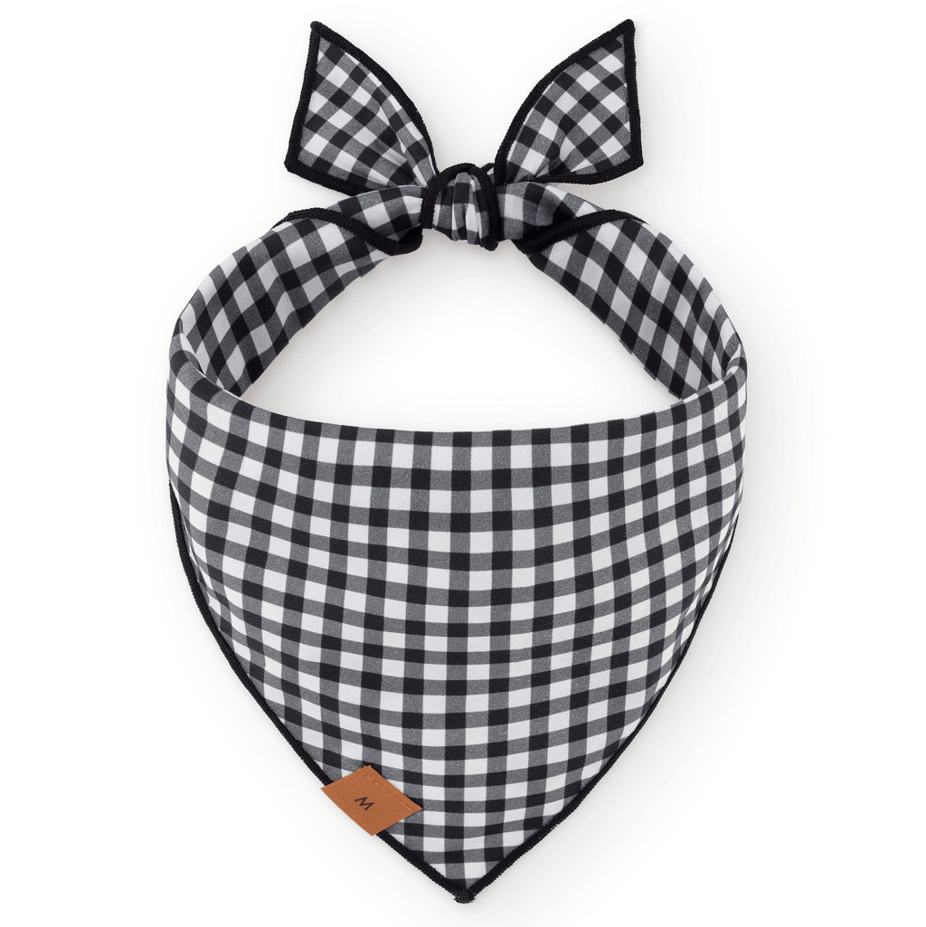 Spooky Season Reversible Dog Bandana: L - up to 26”