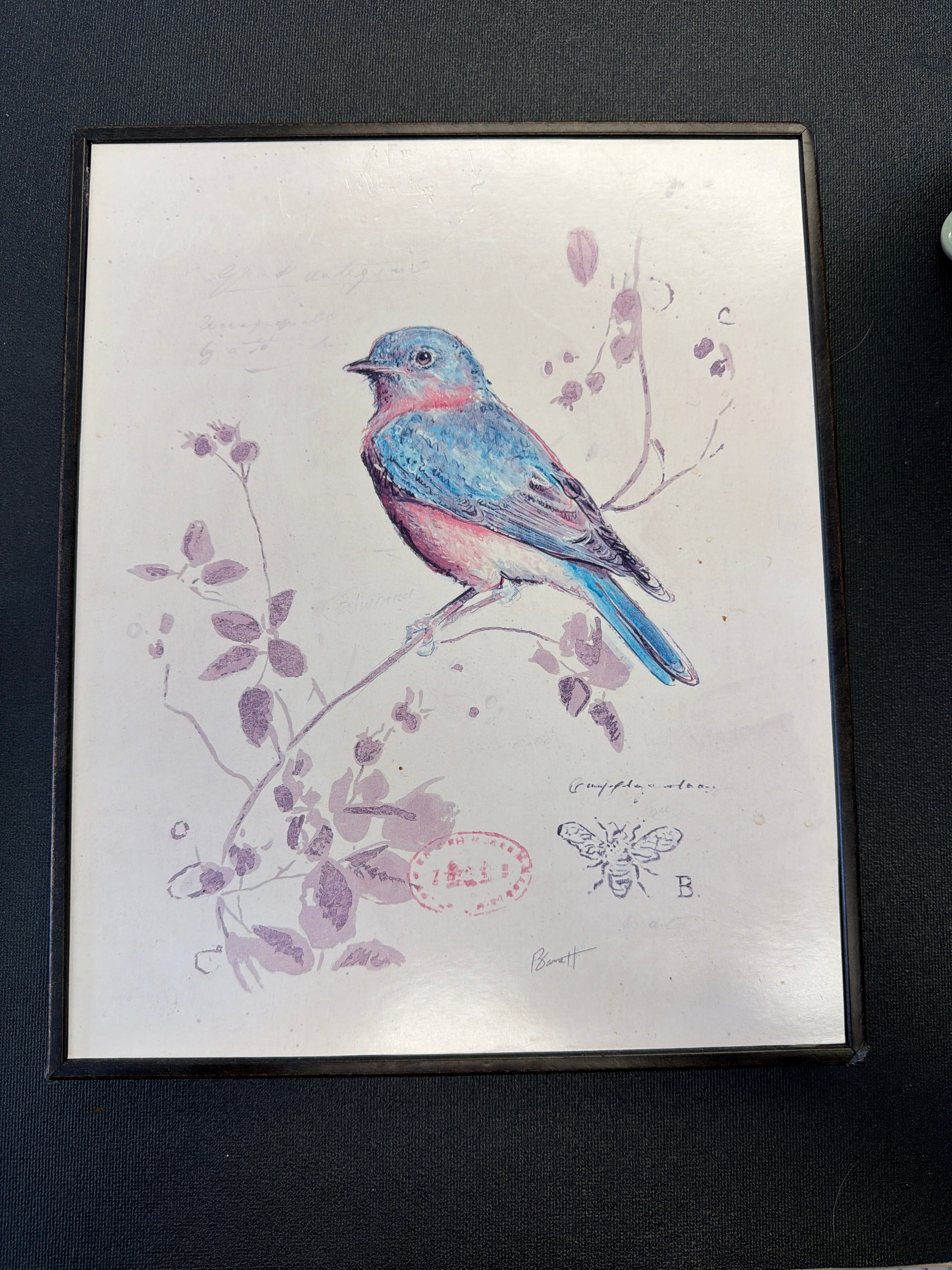 Gilded Songbird 4- Chad Barrett